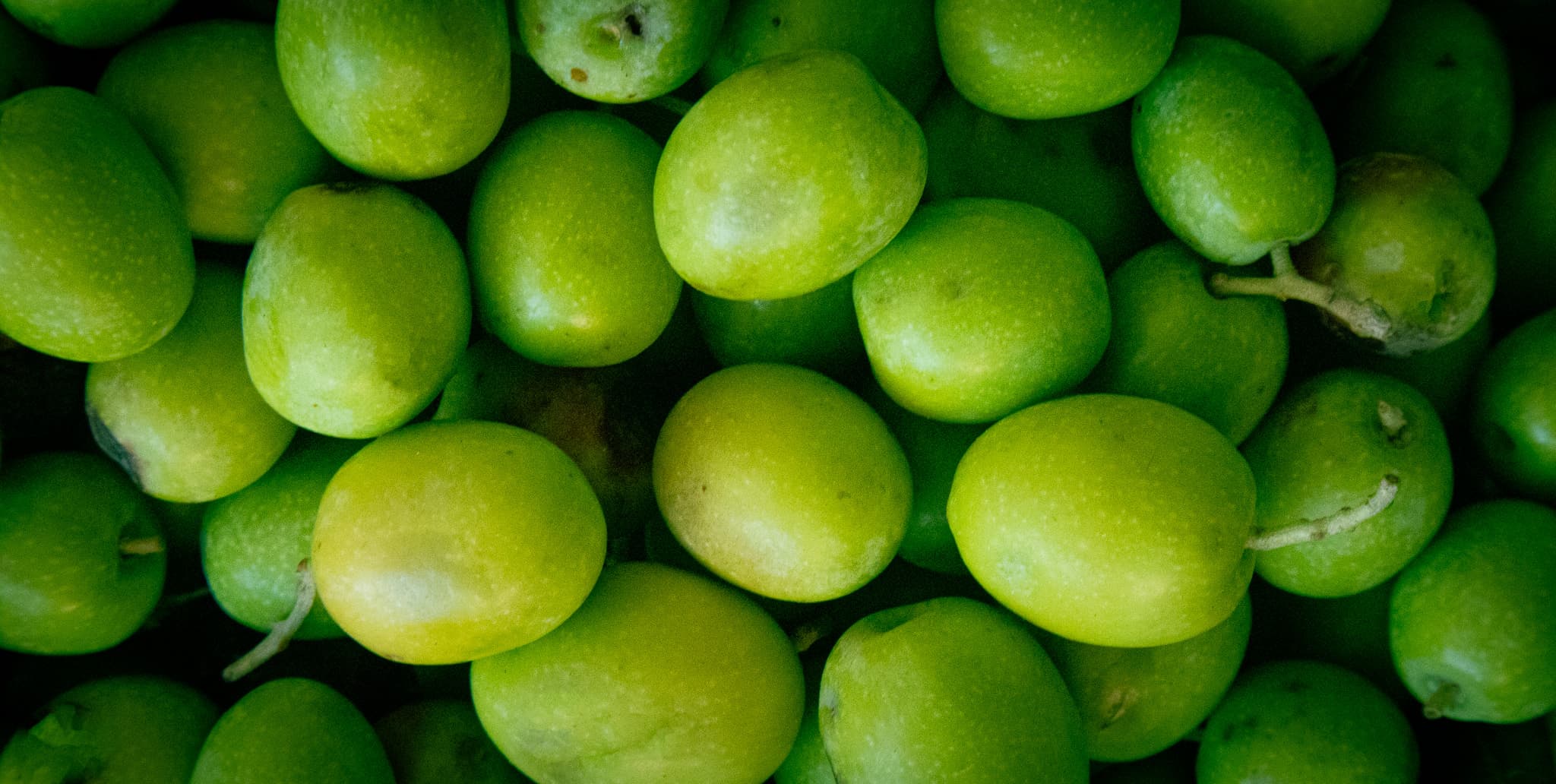 Come Riconoscere un Olio Extravergine di Qualità